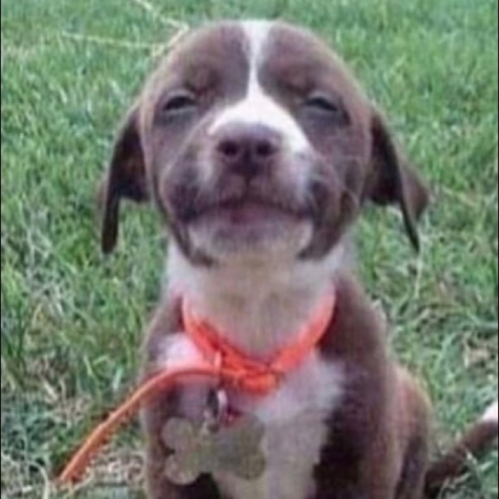 Meet your Posher, Mark